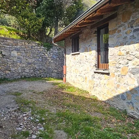 Mariett サーラ・コマチーナ